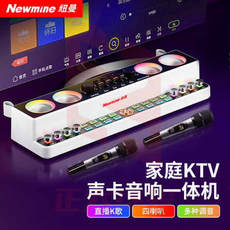 纽曼(Newmine)X5 声卡音响一体机 无线麦克风 双话筒XTGM2023081613165511