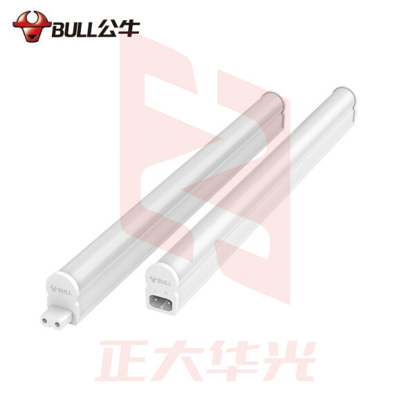 公牛 led灯管T5灯管节能日光灯管长条 T5支架灯4W/0.3m 白光  (XTGM202307201339154)