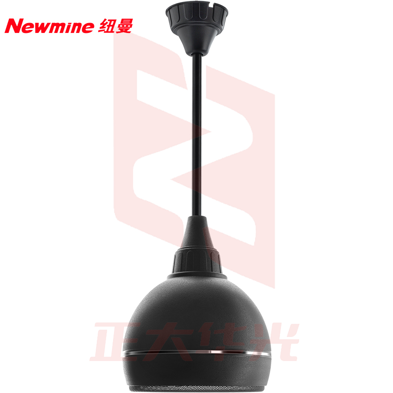 纽曼(Newmine) 吸顶音响 F45 有源无线吸顶吊球音响(一拖四) (XTGM2023081613180312)