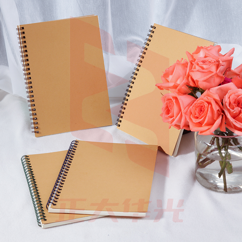 齐心 C4161 纯时代双螺旋装订本 B5 60张  XTGM02061456168970