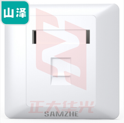 山泽(SAMZHE)电脑插座网口网络面板 适用电话信息模块 通用超五/六/七类模块加厚86型面板 单口WAN-01 	(XTGM2023072308270712)
