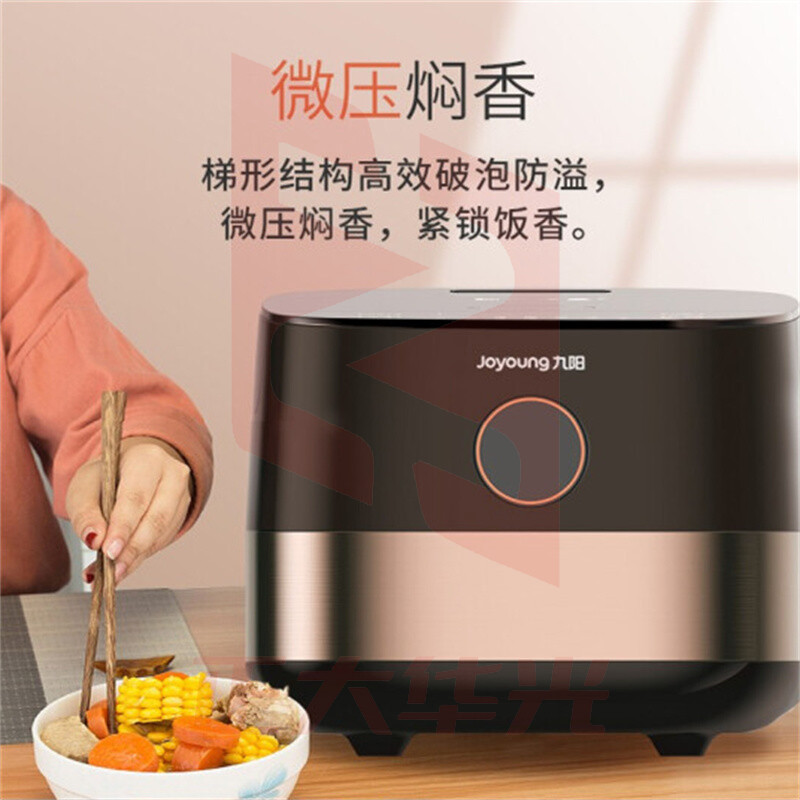 九阳(Joyoung)家用厨房电饭煲铜匠厚釜底盘加热24H预约柴火饭一键触控 F40FZ-F6352  (XTGM202308111515396)