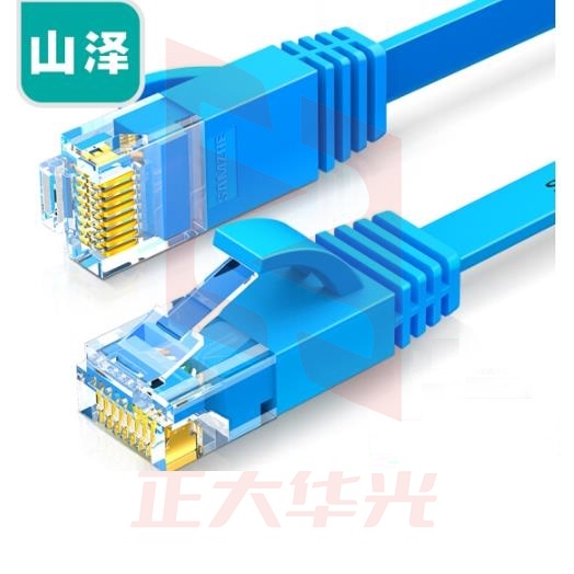 山泽(SAMZHE)SZ-601BE 六类网线 扁线 CAT6类千兆扁平非屏蔽网络连接线 蓝色1米 (XTGM202307230822362)