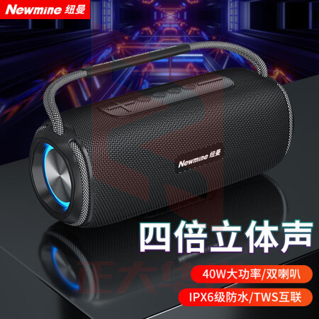 纽曼(Newmine)N20蓝牙音箱 音响户外广场舞家用桌面低音炮手提便携迷你小钢炮U盘电脑手机高音质无线小音响黑色 双喇叭 (XTGM202308161318213)