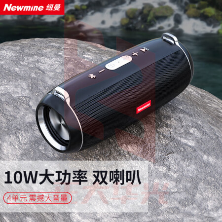 纽曼(Newmine)BT52无线蓝牙音箱迷你小音响便携式家用户外可插卡U盘电脑手机车载超重低音炮大音量收款播报器 黑 (XTGM202308161330348
