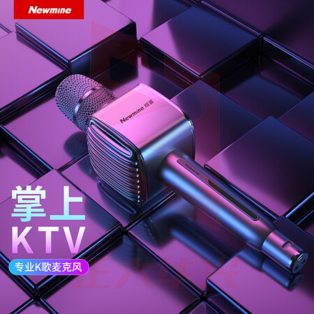 纽曼(Newmine)MC53 蓝牙无线麦克风 话筒音响音箱一体 银色 XTGM202308161313129