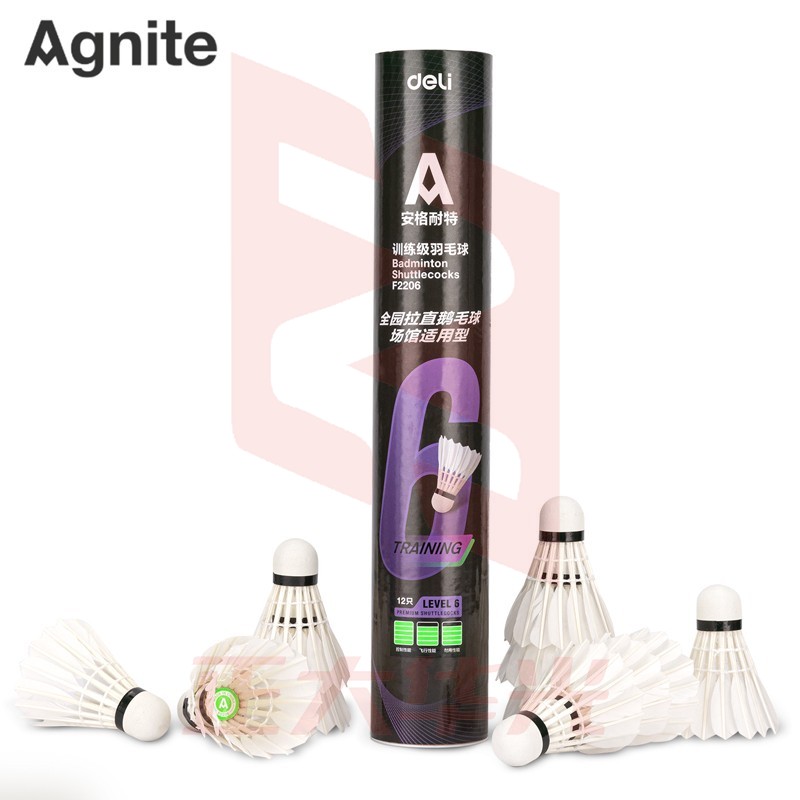 安格耐特F2206羽毛球(白色)(12个/筒)XTGM202303310925463