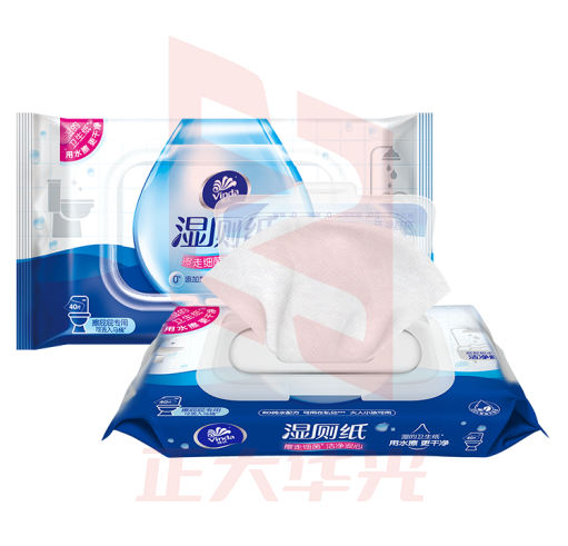 维达(Vinda)湿厕纸擦走细菌 厕纸湿纸巾家庭装40片*10包 洁厕湿巾 清洁湿纸巾 (XTGM202308101305229).