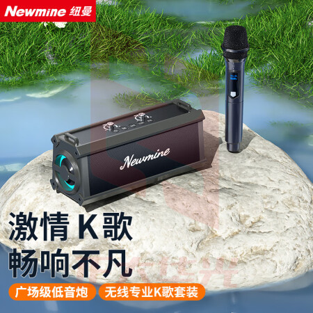 纽曼(Newmine)K221蓝牙音箱广场舞音响户外大音量小型便携式低音炮家用桌面K歌音乐播放器地摊摆摊收款喇叭 单麦款 XTGM202308161304324
