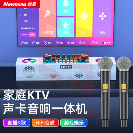 纽曼(Newmine)K121声卡音响一体机 无线麦克风 双话筒XTGM2023081613165410
