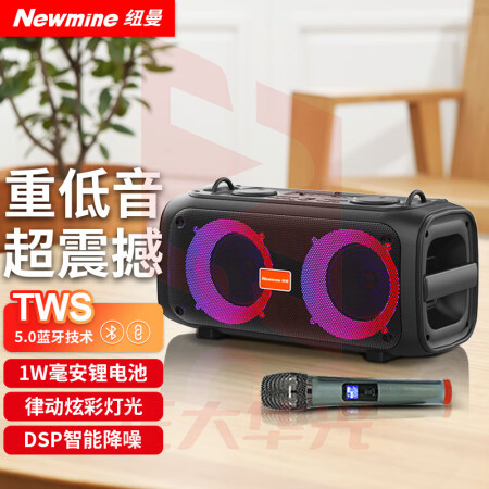 纽曼(Newmine)D28 蓝牙音箱 音响户外k歌广场舞专用便携式重低音炮家用唱歌移动家庭ktv带麦克风桌面高音质无线小音响 带单话筒+炫彩灯(XTGM2023081613172811)