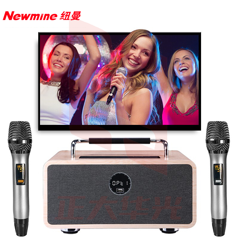 纽曼(Newmine) 音响套装 TV-01 家庭ktv音响套装 (XTGM2023081613180110)