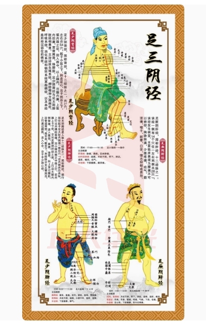 中医十二穴位图人体经络穴位图 ADJJ01101552056355