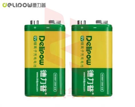 德力普(Delipow)充电电池 9V锂电池大容量550mAh九伏6F22充电套装 适用万用表/话筒/麦克风等 (单位：块))XTGM202402260936410