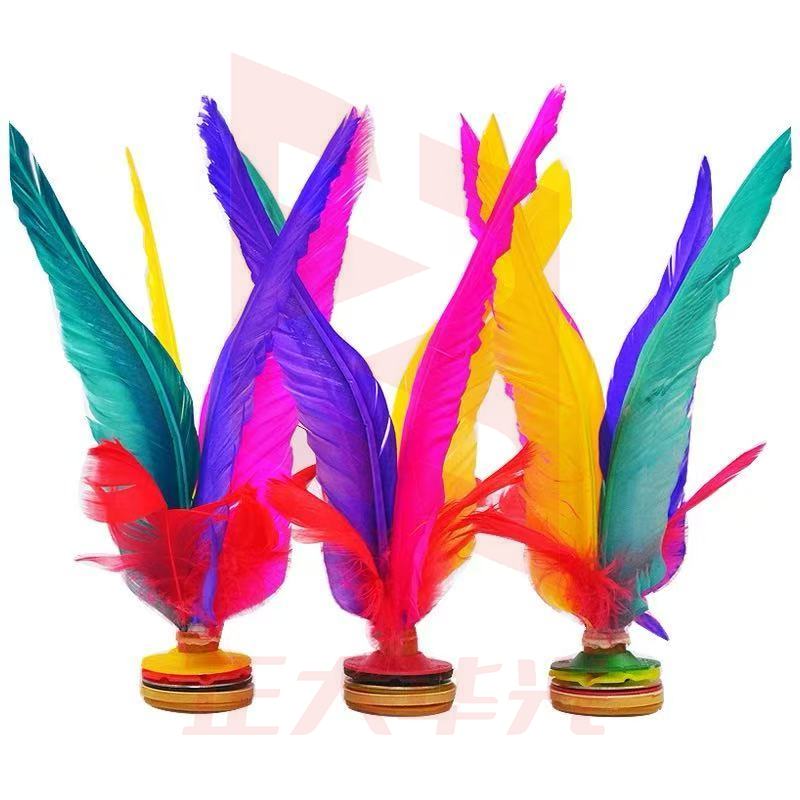 毽子 比赛专用(个) WTEN03131411148832