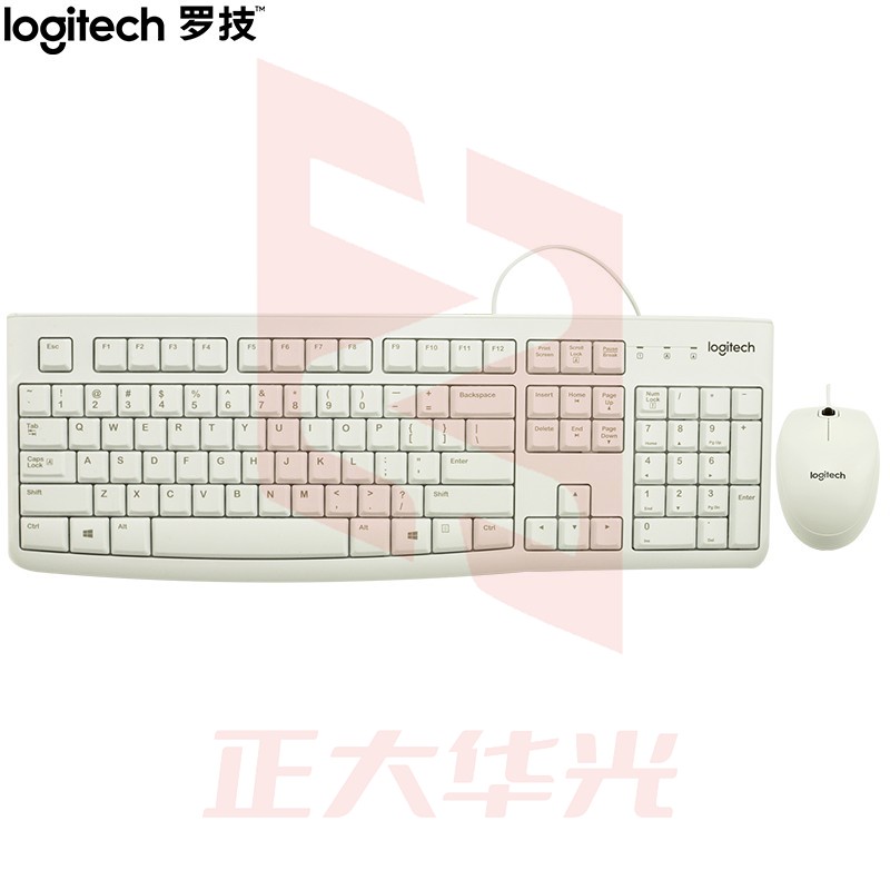 罗技(Logitech)MK120 键鼠套装 有线键鼠套装 办公键鼠套装 电脑键盘 联想全尺寸 白色 (XTGM202307211318414)