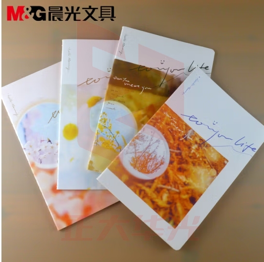 晨光 M＆G 缝线本 FA5355 A5 40页/本 8本/封 (颜色随机)   NJBS11150838308015