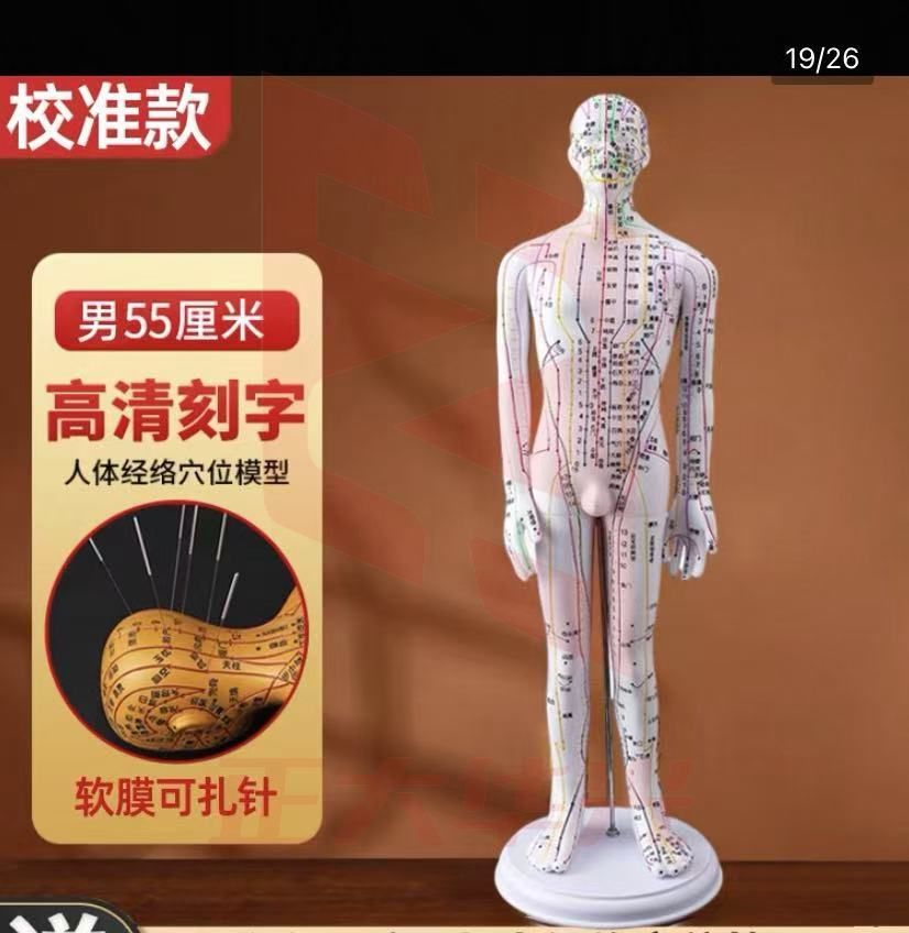 人体经络穴位模型 AGGD09221528568326